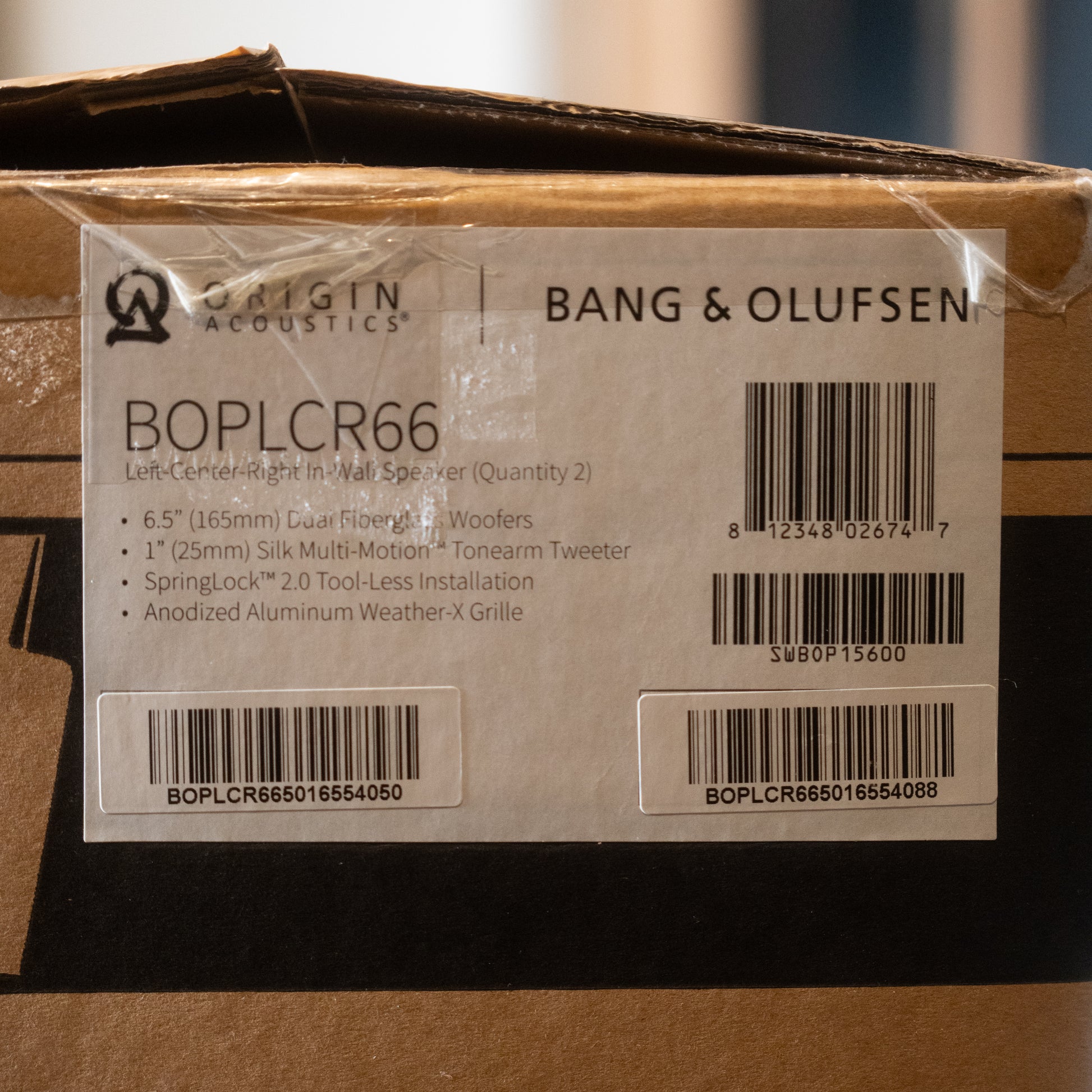 Bang & Olufsen | B&O Palatial (BOPLCR66)