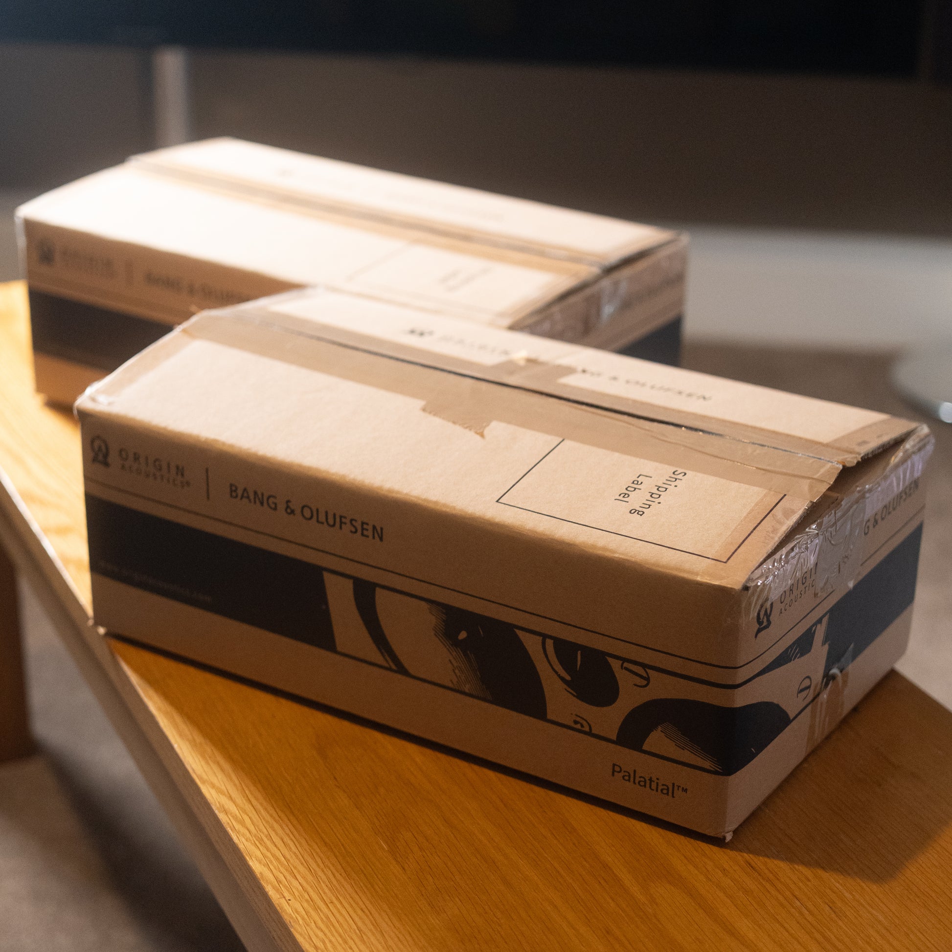 Bang & Olufsen | B&O Palatial (BOPLCR66)