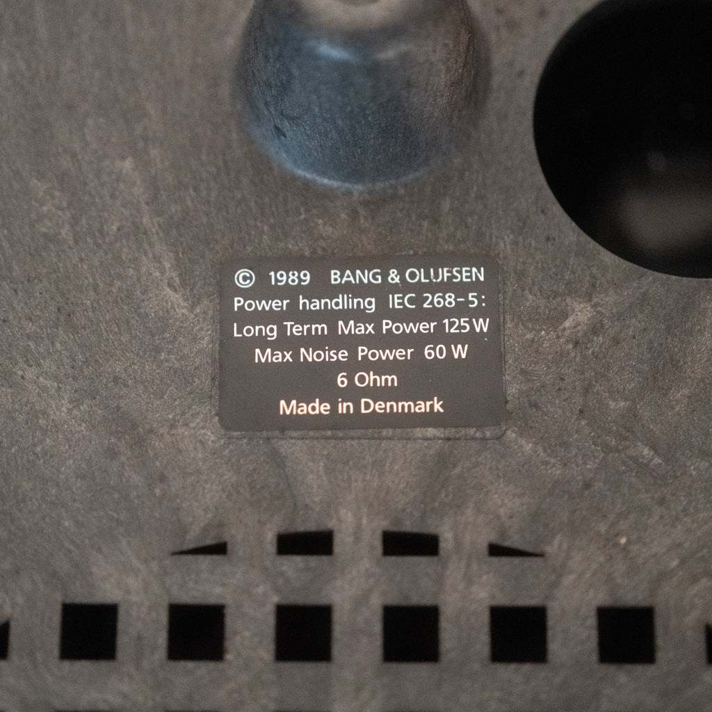 Bang & Olufsen | B&O BeoVox Cona