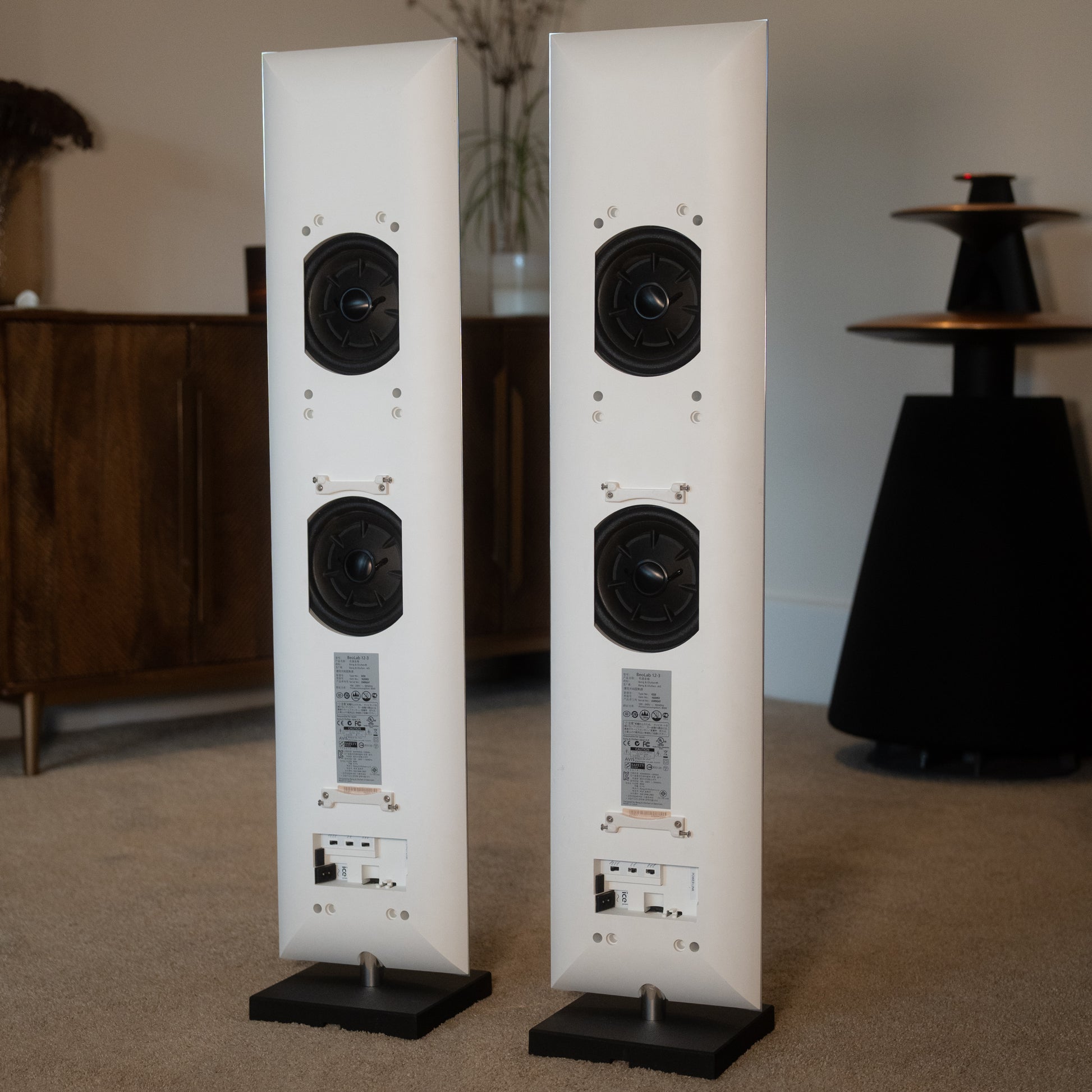 Bang & Olufsen | B&O BeoLab 12-3