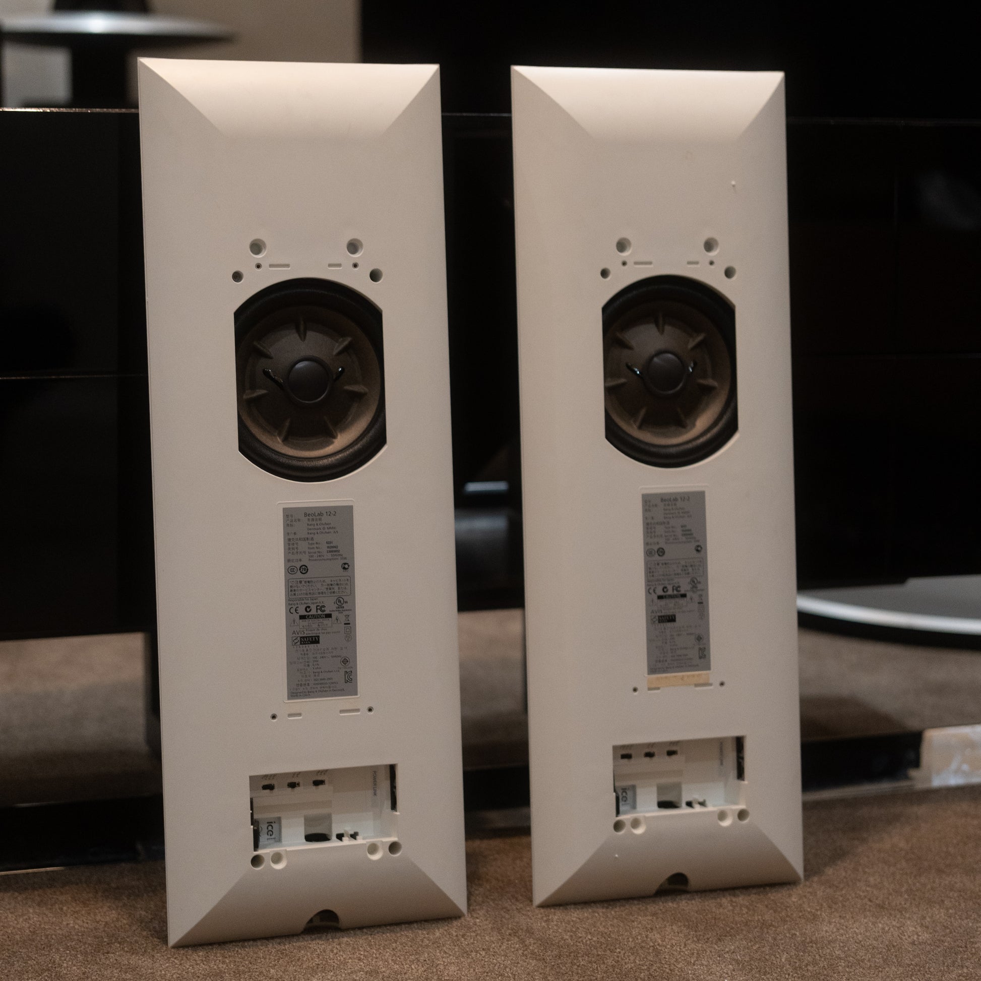 Bang & Olufsen | B&O BeoLab 12-2