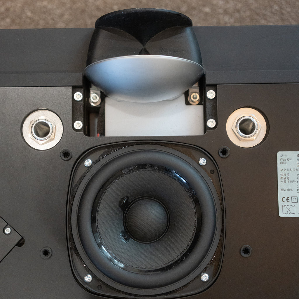 Bang & Olufsen | B&O Beolab 10 (Includes Wall Bracket!)